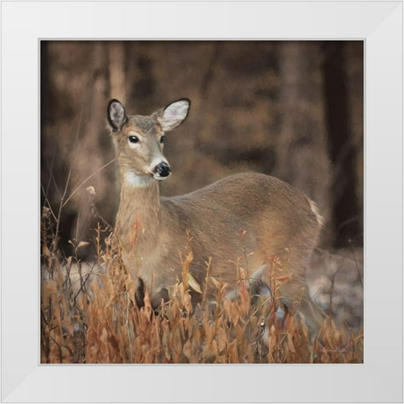 Deiter, Lori 26x26 White Modern Wood Framed Museum Art Print Titled - Whitetail Deer