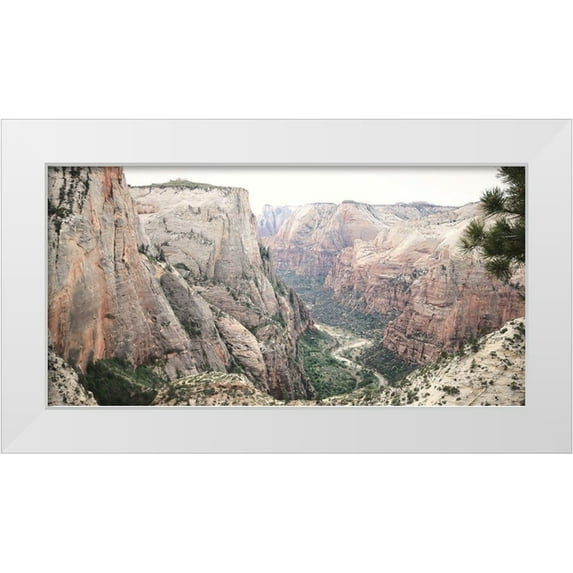 Deiter, Lori 32x18 White Modern Wood Framed Museum Art Print Titled - Zion from Above
