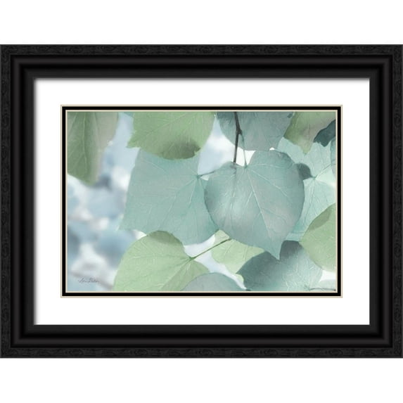 Deiter, Lori 32x23 Black Ornate Wood Framed with Double Matting Museum Art Print Titled - Aqua Leaves