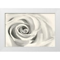 thumbnail image 1 of Deiter, Lori 32x23 White Modern Wood Framed Museum Art Print Titled - Rose II, 1 of 4