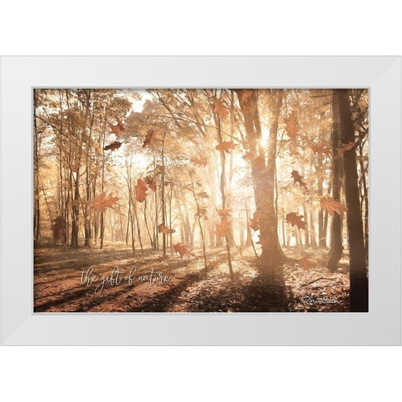 Deiter, Lori 32x23 White Modern Wood Framed Museum Art Print Titled - The Gift of Nature