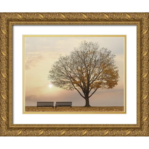 Deiter, Lori 32x25 Gold Ornate Wood Framed with Double Matting Museum Art Print Titled - Golden Riverfront Sunrise