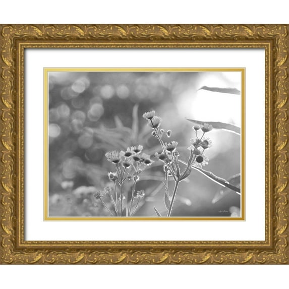 Deiter, Lori 32x25 Gold Ornate Wood Framed with Double Matting Museum Art Print Titled - Wild Flowers III