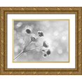thumbnail image 1 of Deiter, Lori 32x25 Gold Ornate Wood Framed with Double Matting Museum Art Print Titled - Wild Flowers I, 1 of 4
