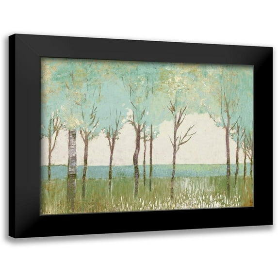 Del Rizzo, Anthony 18x15 Black Modern Framed Museum Art Print Titled - Evergreen Wanderlust I
