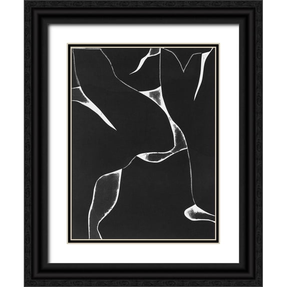 Delamater, Rob 19x24 Black Ornate Wood Framed with Double Matting Museum Art Print Titled - Night Bloom II