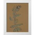 thumbnail image 1 of Delamater, Rob 25x32 White Modern Wood Framed Museum Art Print Titled - Little Plants of Big Sur XIV, 1 of 4