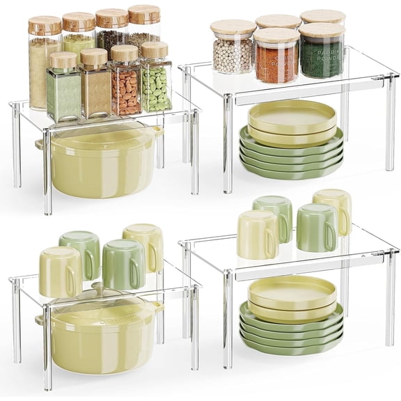 Delamu 2-Tier 4 Pack Spice Rack, Acrylic Seasoning Condiments Organizer for Cabinet, Clear Spice Shelf, S&L