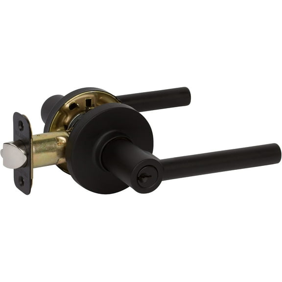 Delaney Hardware RD Entry Door Lock, Fits Door 1-3/8 to 1-3/4 in. Thick, Black Finish Reversible Left/Right-Handed Front Door & Garage Door Lever Easy to Install Door Lock