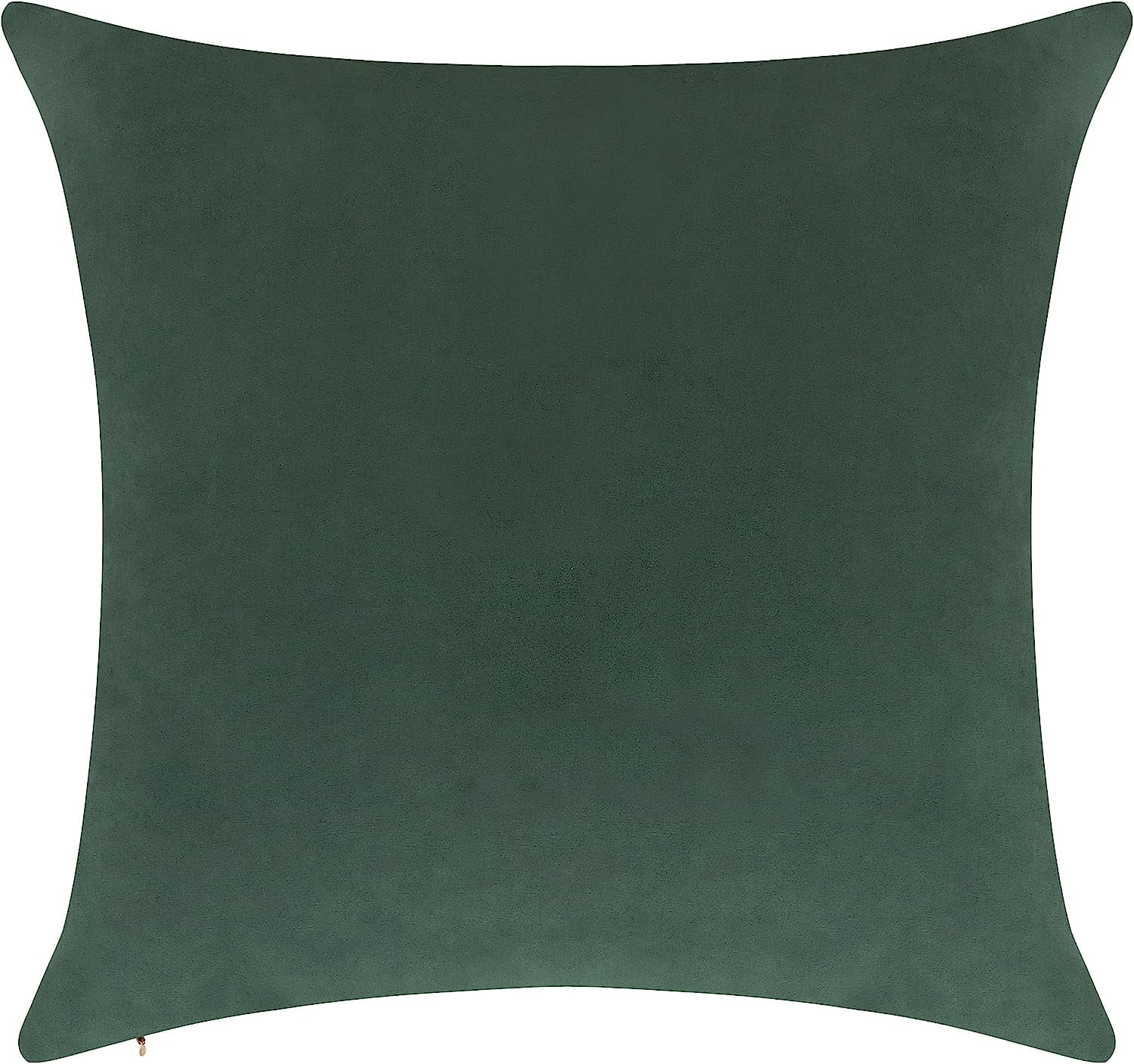 Delara Velvet Decorative Throw Pillow Cover, 20x20 inch, Pack of 1, Soft Breathable Cushion Cover with Hidden Zipper, Bottle Green