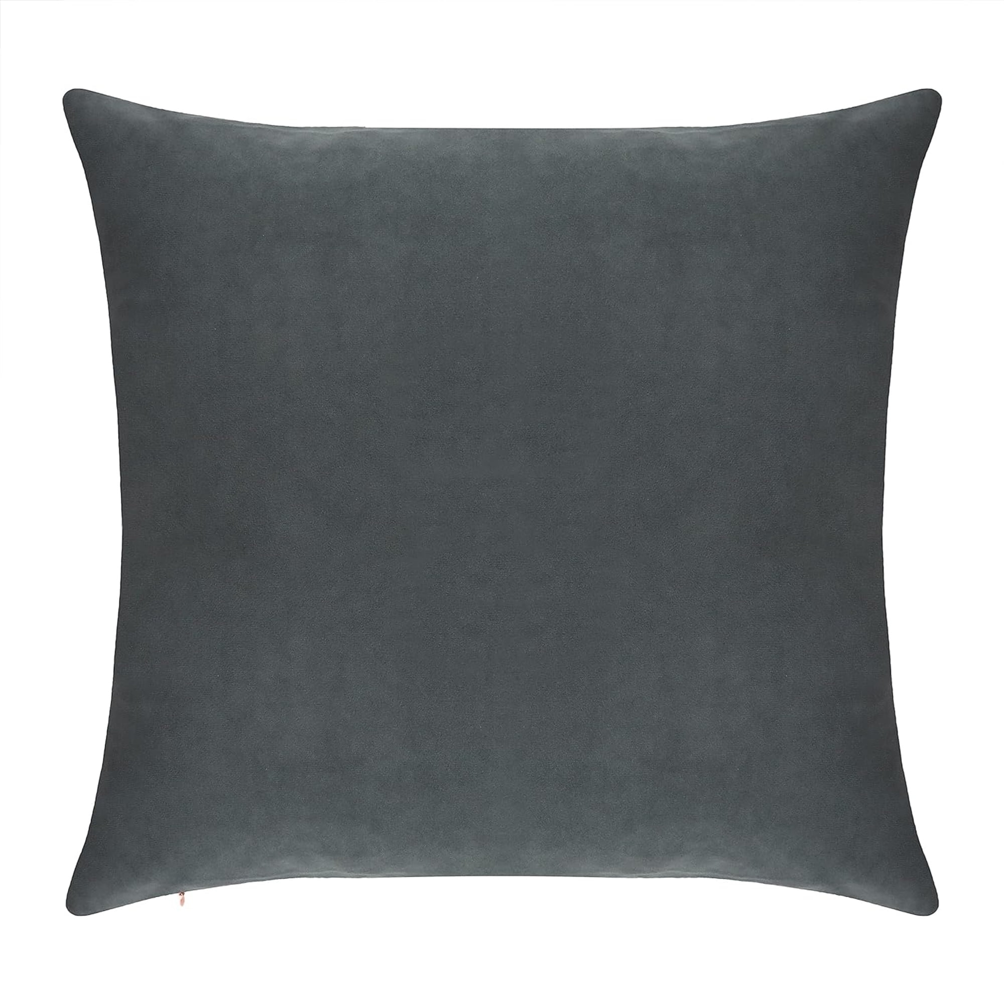 Delara Velvet Decorative Throw Pillow Cover, 20x20 inch, Pack of 1, Soft Breathable Cushion Cover with Hidden Zipper, Dark Grey