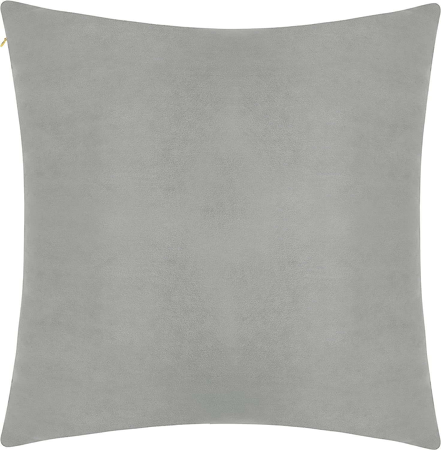 Delara Velvet Decorative Throw Pillow Cover, 20x20 inch, Pack of 1, Soft Breathable Cushion Cover with Hidden Zipper, Goose Grey