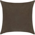 thumbnail image 1 of Delara Velvet Decorative Throw Pillow Cover, 20x20 inch, Pack of 1, Soft Breathable Cushion Cover with Hidden Zipper, Cocoa brown, 1 of 4