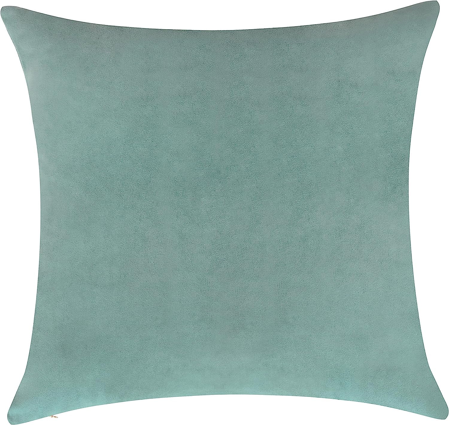 Delara Velvet Decorative Throw Pillow Cover, 20x20 inch, Pack of 1, Soft Breathable Cushion Cover with Hidden Zipper, Sea Green