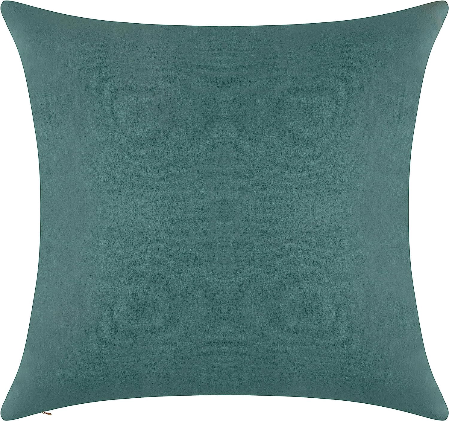 Delara Velvet Decorative Throw Pillow Cover, 20x20 inch, Pack of 1, Soft Breathable Cushion Cover with Hidden Zipper, Mint Green