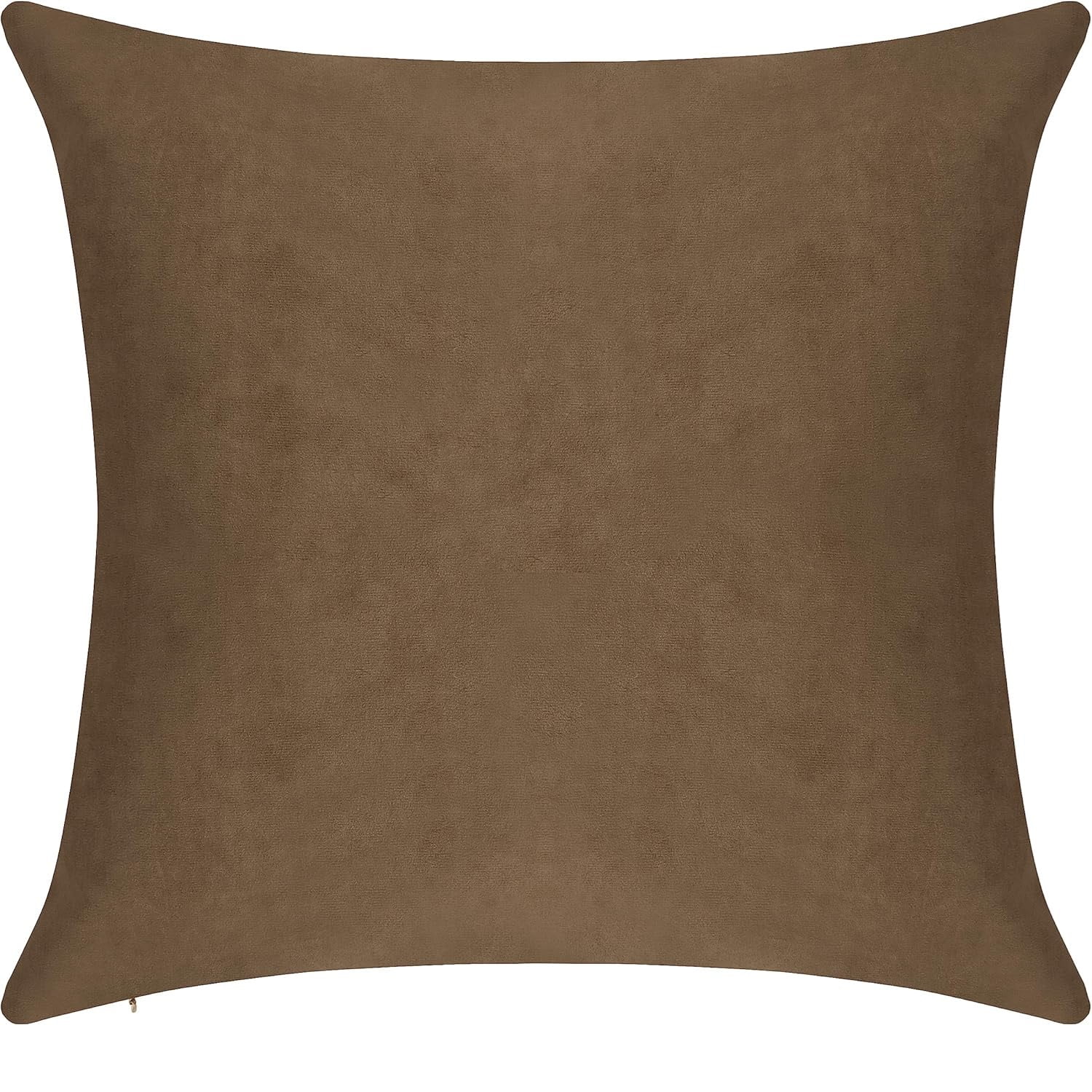Delara Velvet Decorative Throw Pillow Cover, 20x20 inch, Pack of 1, Soft Breathable Cushion Cover with Hidden Zipper, Dark Brown