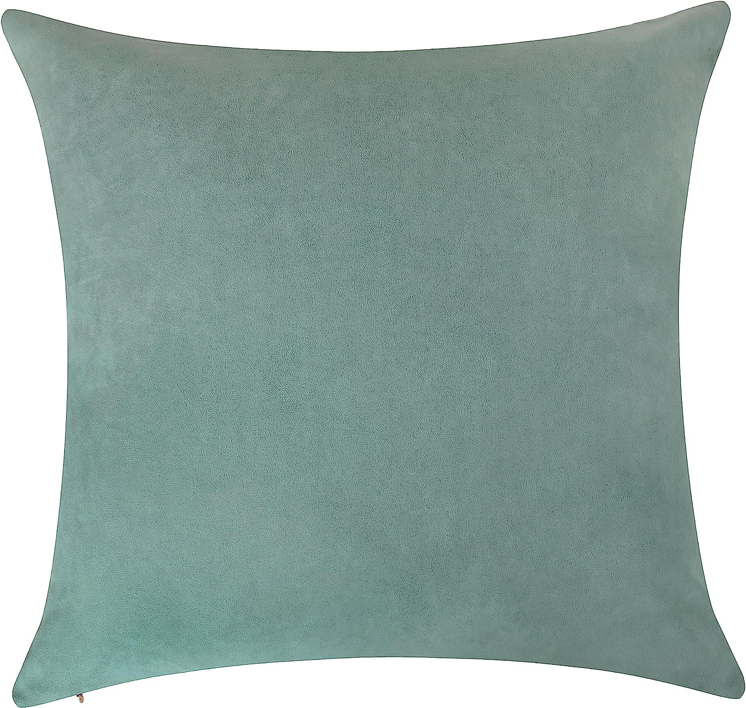 Delara Velvet Decorative Throw Pillow Cover, 20x20 inch, Pack of 1, Soft Breathable Cushion Cover with Hidden Zipper, Light Blue
