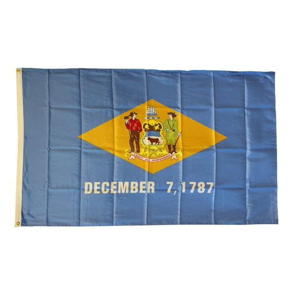 Delaware - 3'X5' Polyester Flag