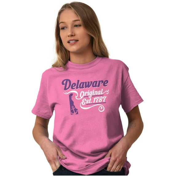 Delaware Anchor State Shape Filagree Women's Plus Size Graphic Tee Brisco Brands 3X