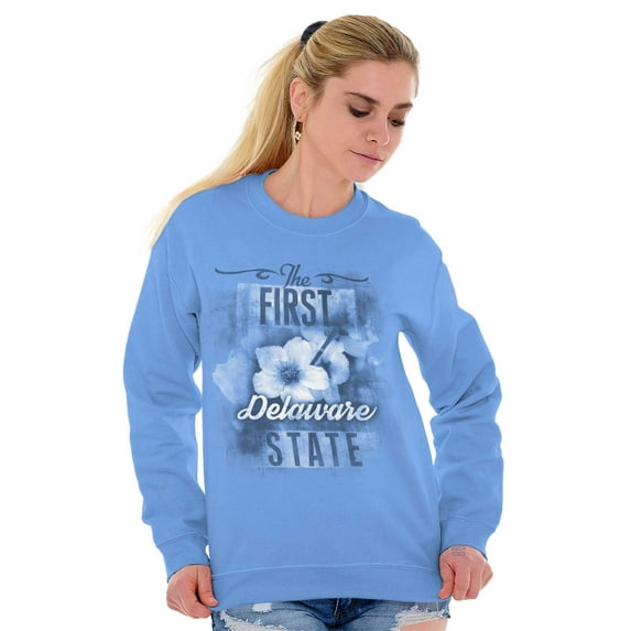 Delaware Cute State Flower Souvenir Women Crewneck Sweatshirt Brisco Brands S