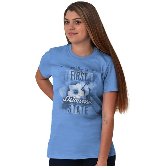 Delaware Cute State Flower Souvenir Women's Plus Size Graphic Tee Brisco Brands 2X