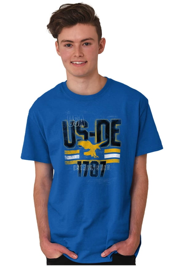 Delaware DE Eagle Vintage Distressed Plus Size Crewneck Graphic Tee Shirt Brisco Brands 3X