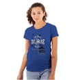thumbnail image 1 of Delaware Lighthouse Cool DE Map Shape Womens Fitted Plus Size Graphic Tee Brisco Brands 2X, 1 of 5