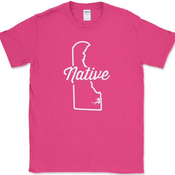 Delaware Native T-Shirt Funny Humor State Pride Location Gift Tee - Pink, L