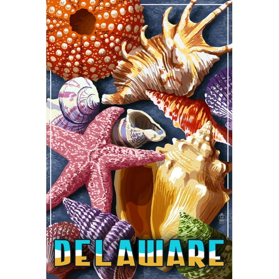 Delaware, Shell Montage (24x36 Giclee Gallery Art Print, Vivid Textured Wall Decor)