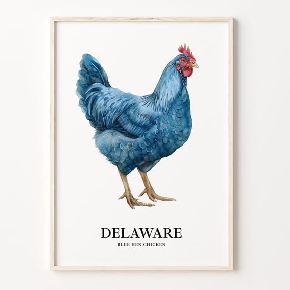 Delaware State Bird & Flower Art Print Delaware Wall Art Home Decor State Themed Artwork