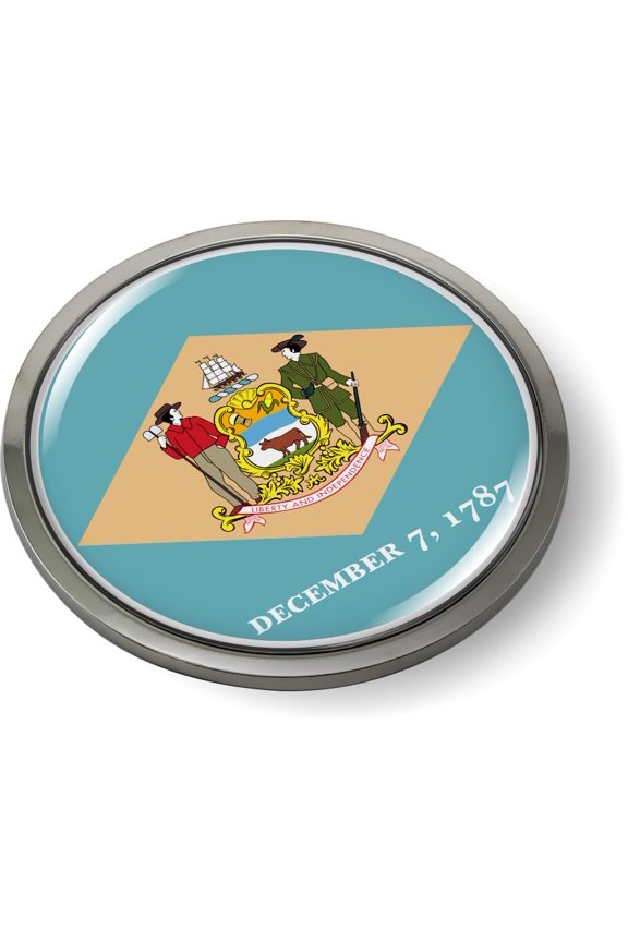 Delaware State Flag 3D Domed CAR Emblem Badge Sticker Chrome Plastic Round Bezel