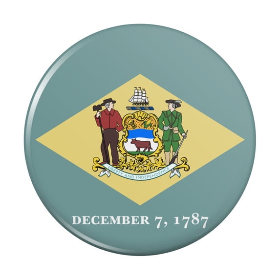 Delaware State Flag Kitchen Refrigerator Locker Button Magnet