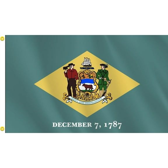 Delaware State Flag, Nylon, 3' x 5', 100% Made in USA, Canvas Header, Heavy-Duty Brass Grommets