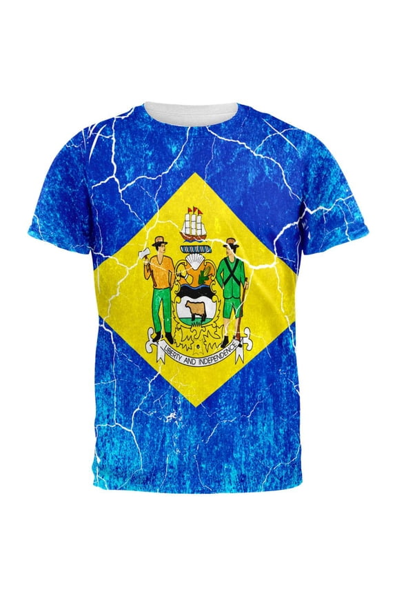 Delaware Vintage Distressed State Flag All Over Mens T Shirt Multi SM