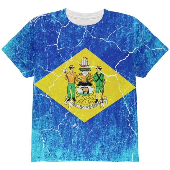 Delaware Vintage Distressed State Flag All Over Youth T Shirt Multi YLG