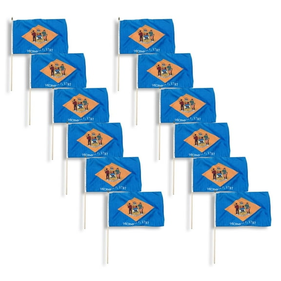 Delaware flag 12 x 18 inch -12 PK