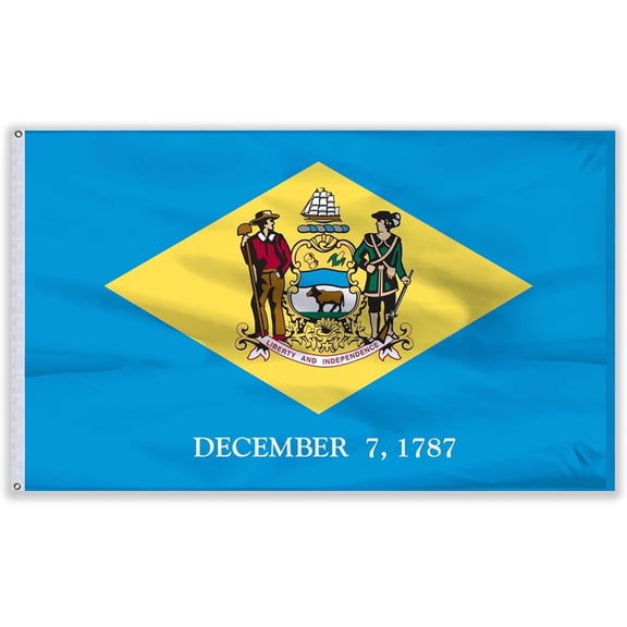 Delaware State Flag 6x10 Feet Nylon | Durable Heavyweight Nylon with Brass Grommets | Perfect for Indoor & Outdoor Display | Made in the USA