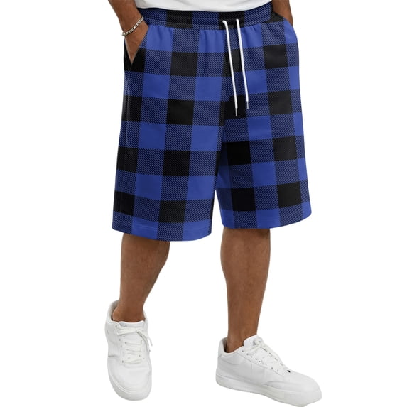 Delconic Men Classic Buffalo Plaid Quick Dry Casual Shorts Skin Friendly Elastic Waist Deep Side Storage Pockets Short Trousers For Spring Summer Commute Walking Blue L