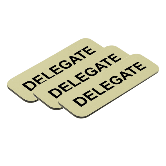 Delegate 1 x 3" Name Tag/Badge, Brushed Gold, (3 Pack)