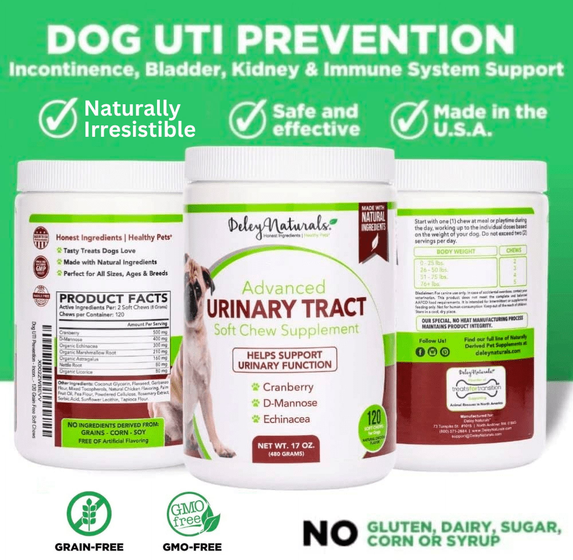 Deley Naturals Premium Alaskan Wild Caught Salmon Oil for Dogs and Cats