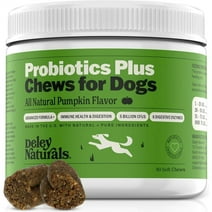 Deley Naturals Probiotics Plus Chews for Dogs, Gut Health Supplement, Prebiotics, Pumpkin Flavor, 90 Count