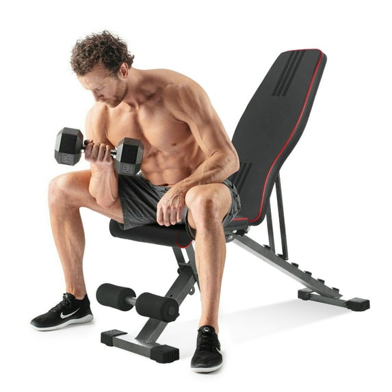 Delfy Adjustable Weight Bench Foldable, Fitness Workout Bench Weight Lifting Sit-up Multi-use Exercise Bench Flat Incline Decline Bench Press for Home Gym Training