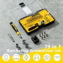 Deli 75PCS Ratcheting Screwdriver Set, Precision Ratchet Screwdriver  Set with Magnetic Screwdriver Bits& Sockets Rotatable Ratchet Handle, Household Repair Tool Kit