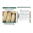 thumbnail image 1 of Delicata Winter Squash Garden Seeds - 2 g Packet - Non-GMO, Heirloom - Vegetable Gardening Seed, 1 of 7