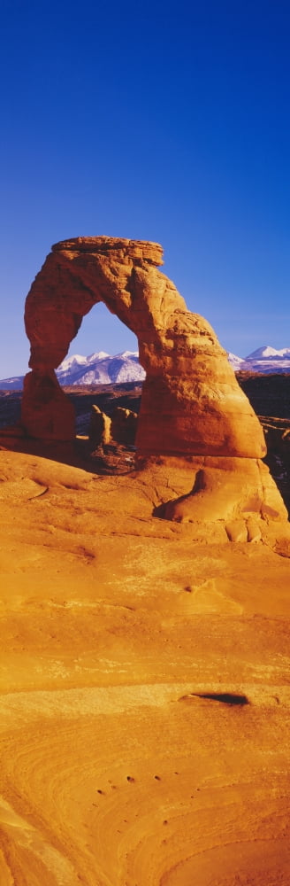Delicate Arch & La Sal Mountains Arches National Park Moab Utah Canvas Art - Panoramic Images (27 x 9)