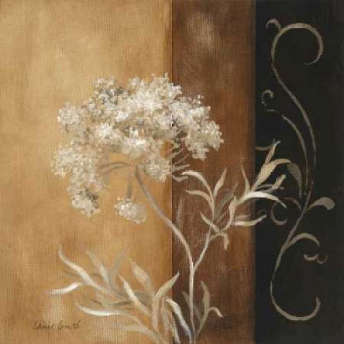 Delicate Beauty II Canvas Art - Lanie Loreth (24 x 24)