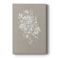 thumbnail image 1 of Delicate Botanicals I Premium Gallery Wrapped Canvas - Ready to Hang, 1 of 9