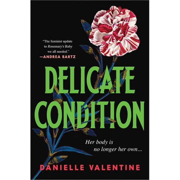 Delicate Condition (Paperback)