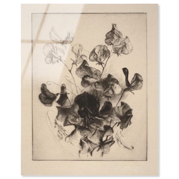 Delicate Darkness Acrylic Print Vintage Art by Art Remedy, Ready to Hang, 20 x 24