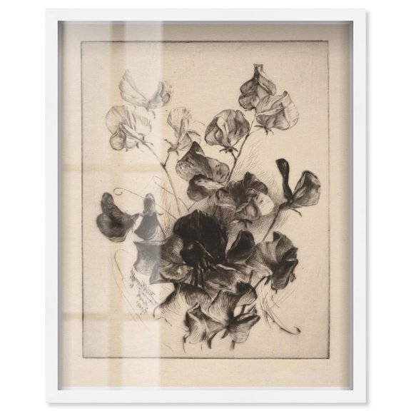 Delicate Darkness Shadowbox Print Vintage Art by Art Remedy, White Frame, 20 x 24